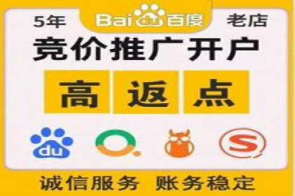 成功SEM推广代运营案例分享